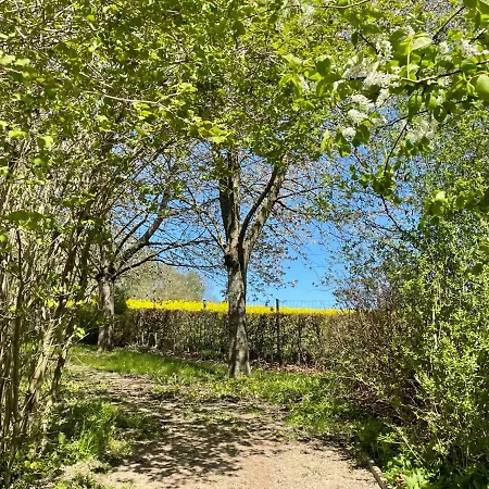 Heide By Interhome Zarrentin (Vorpommern-Rugen)