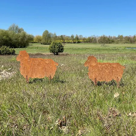 Heide By Interhome Appartamento