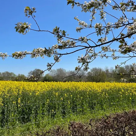 Heide By Interhome 公寓 Zarrentin (Vorpommern-Rugen)