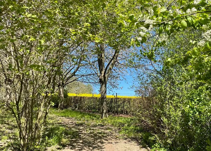 Heide By Interhome Zarrentin (Vorpommern-Rugen)