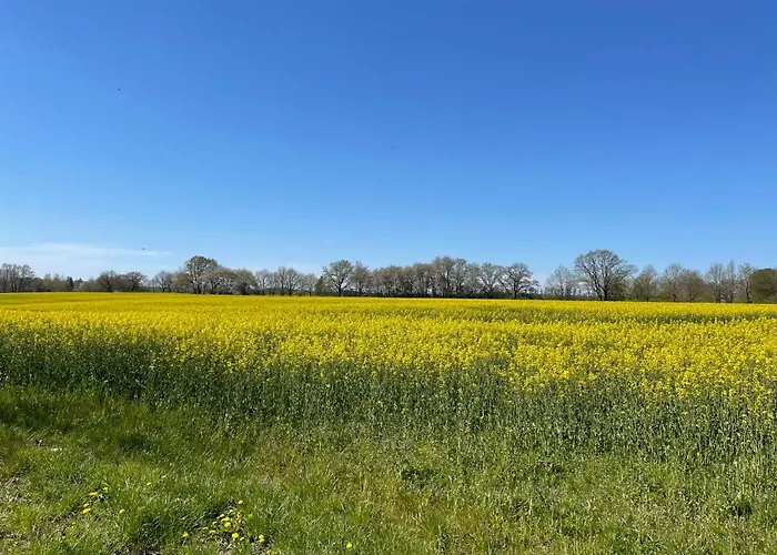 公寓 Heide By Interhome