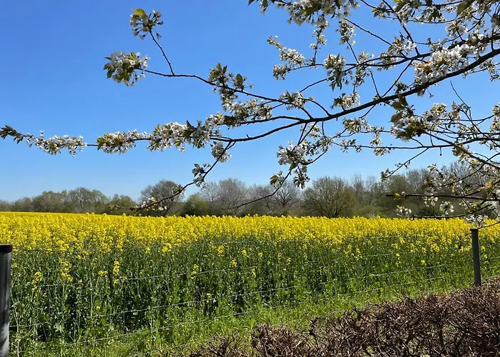 Heide By Interhome 公寓 Zarrentin (Vorpommern-Rugen)